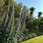 Otel Westhill Country 3*