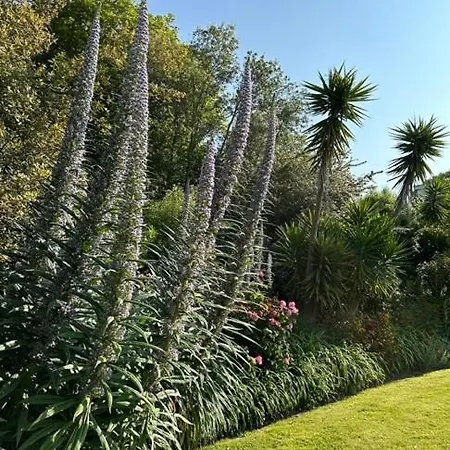 Otel Westhill Country 3*