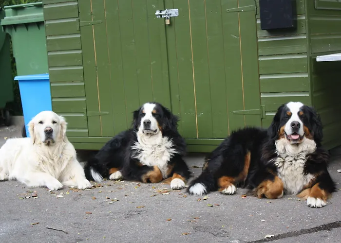 מלון Westhill Country Saint Helier Jersey