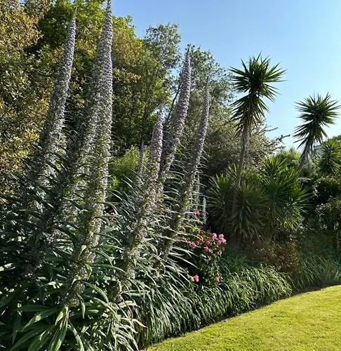 Hotel Westhill Country 3*